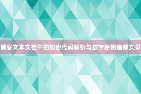 黑客文本文档中的加密代码解析与数字秘钥追踪实录