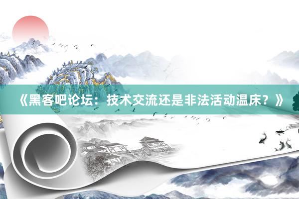 《黑客吧论坛：技术交流还是非法活动温床？》