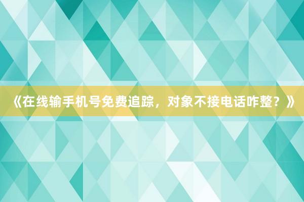 《在线输手机号免费追踪，对象不接电话咋整？》